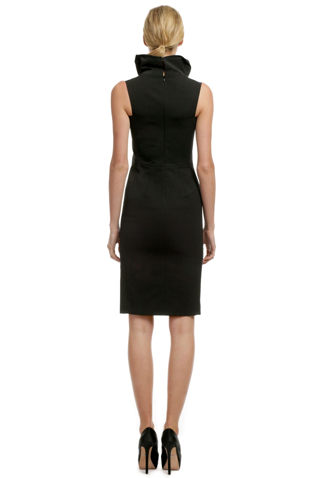 Beyond Chic Collar Sheath by Calvin Klein Collection 2
