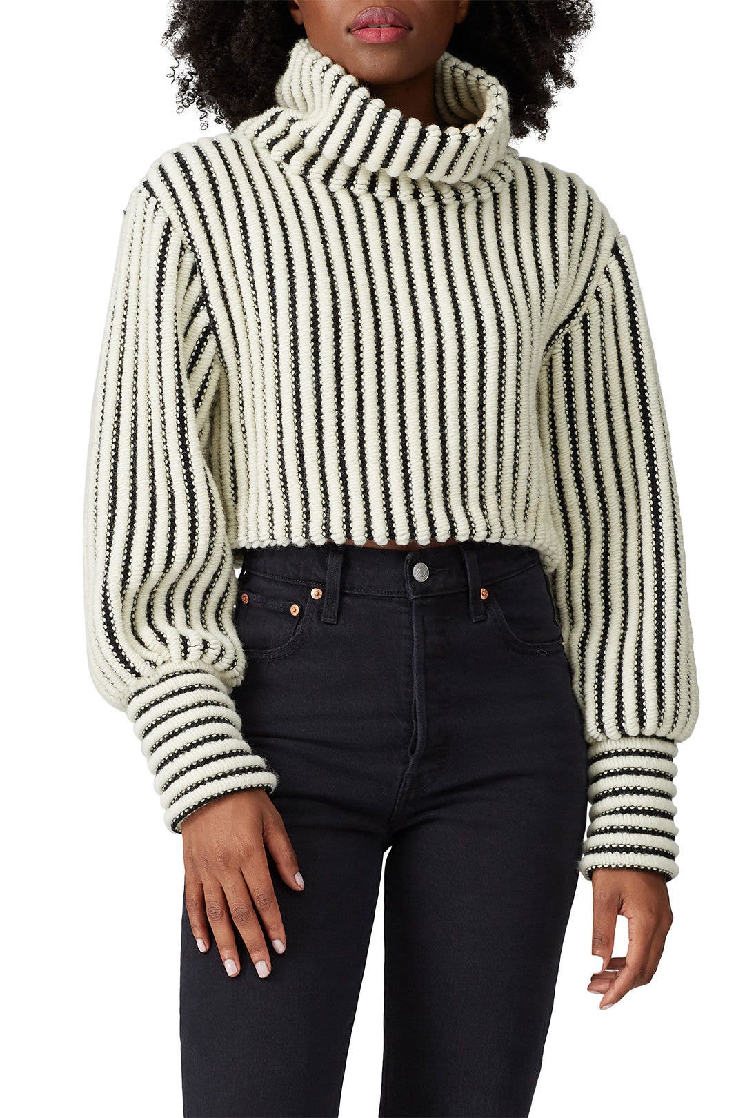 Jane Cropped Turtleneck by Sid Neigum 1