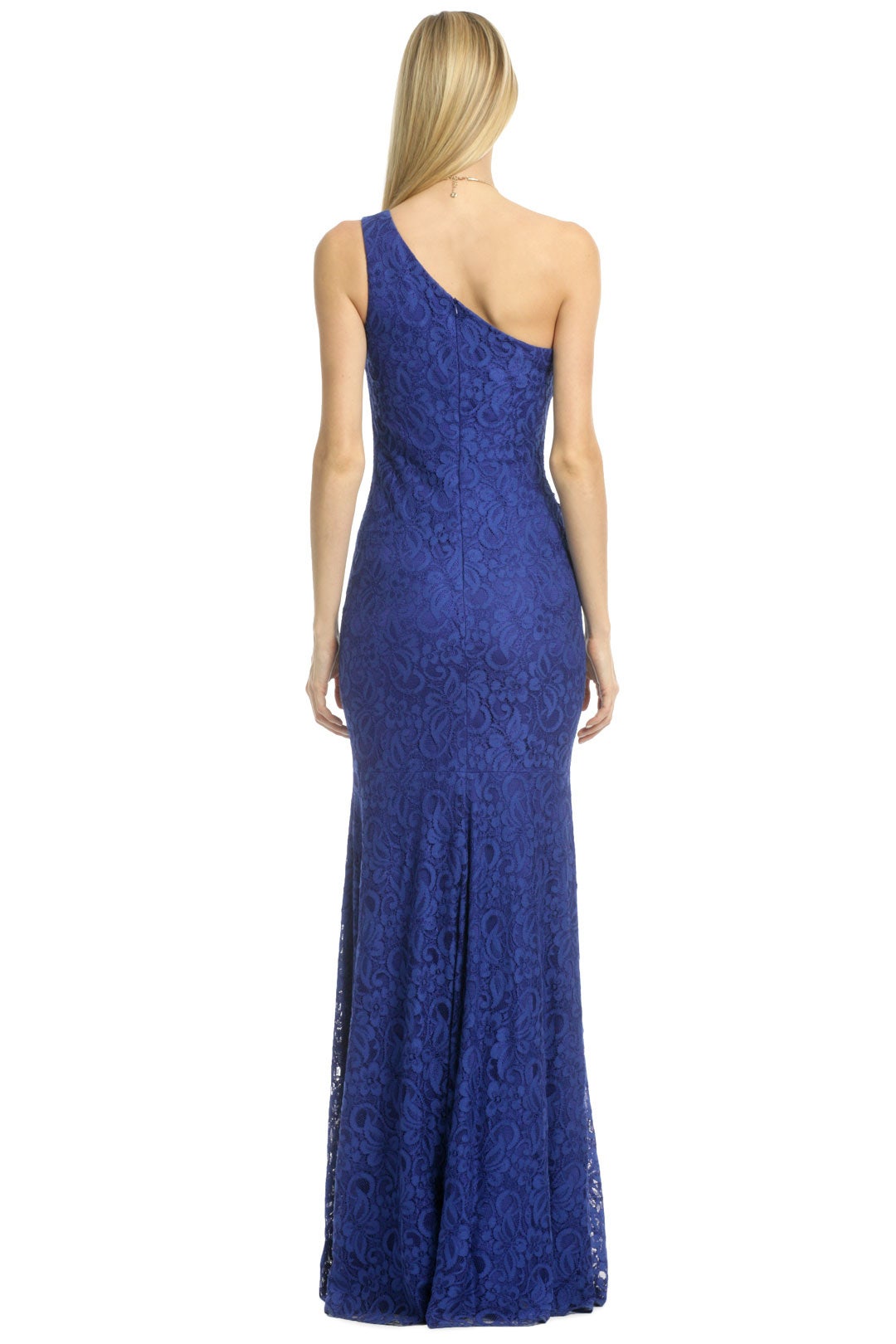 Blue Nile Falls Gown by David Meister 1