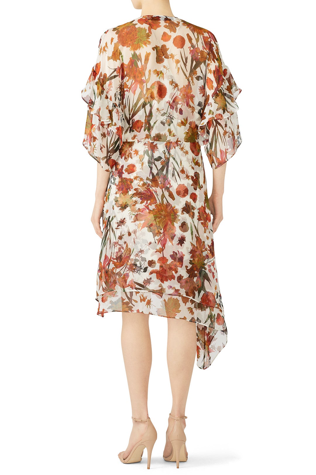 Floral Something Dress by Iro 1