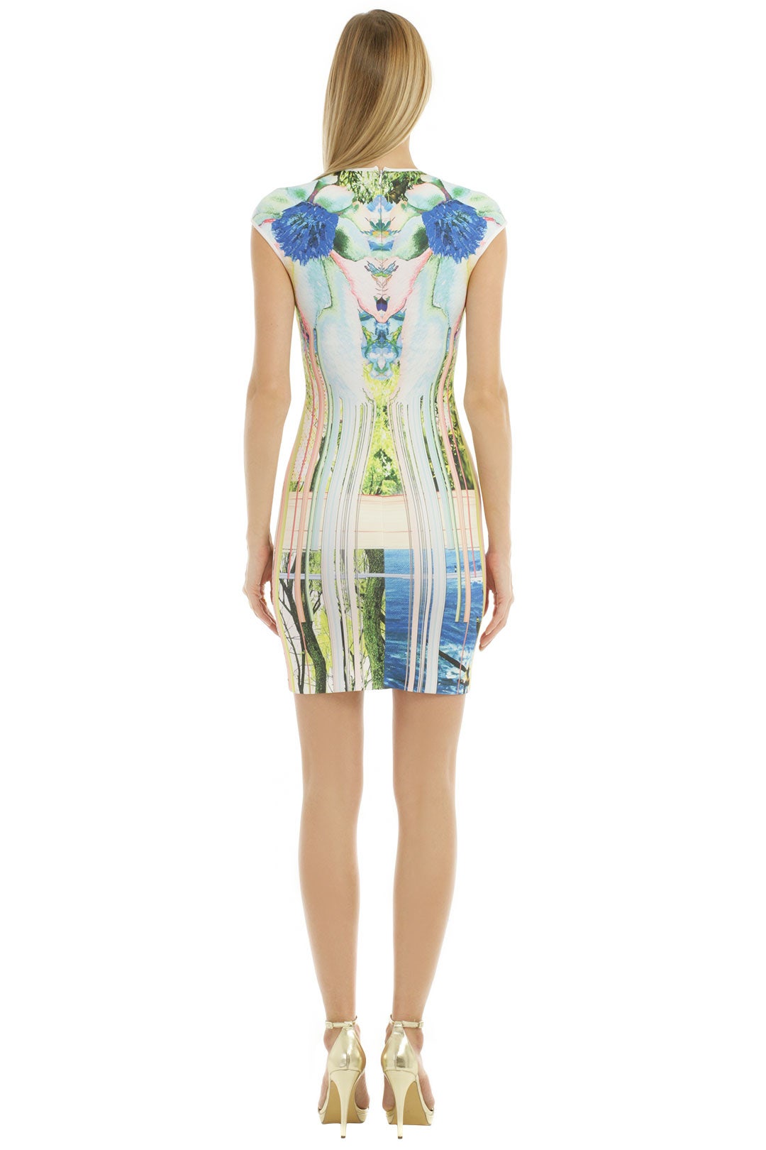Griffith Park Print Dress by Clover Canyon 2