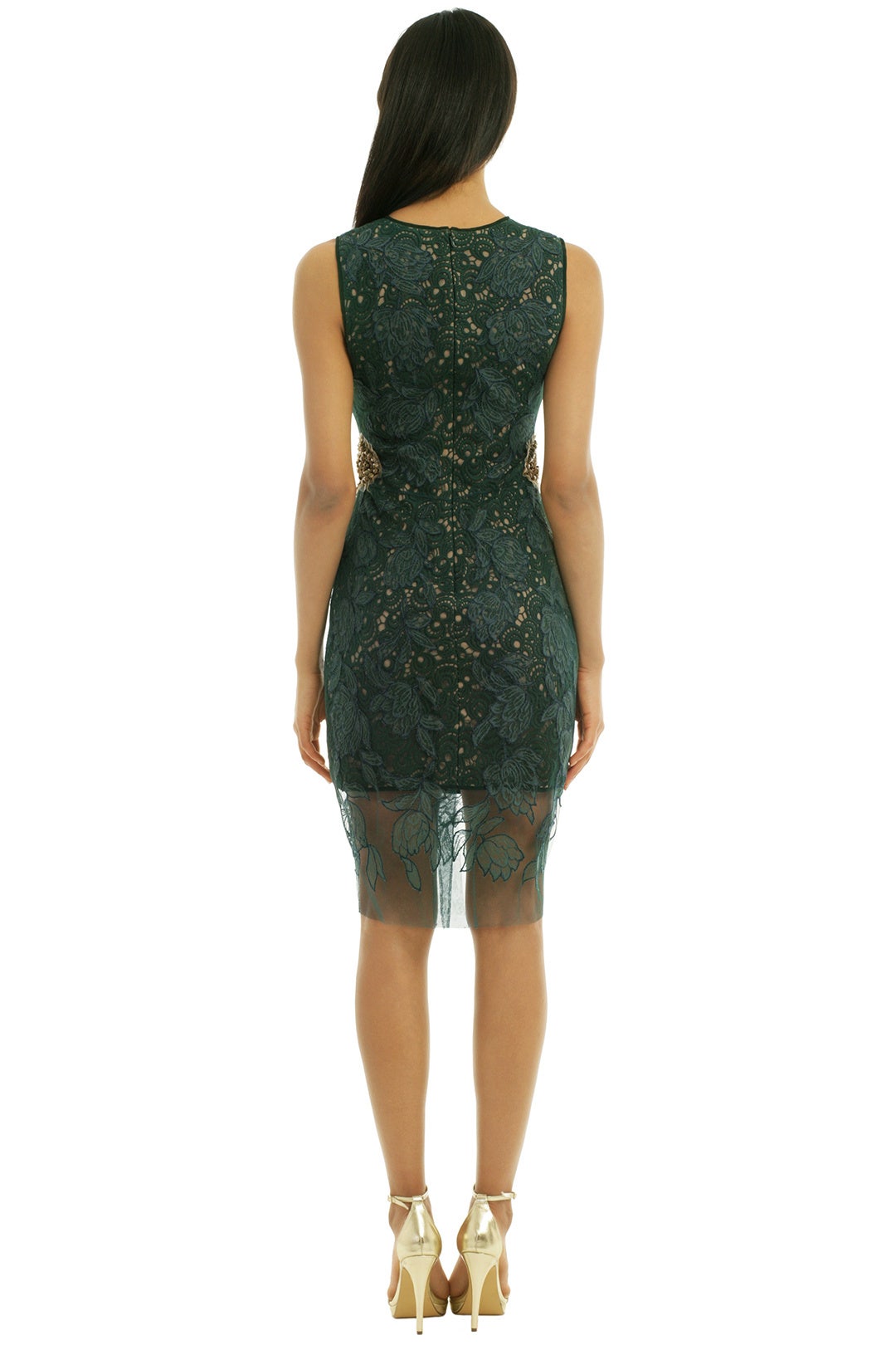 Cypress Chantilly Sheath by Vera Wang 1