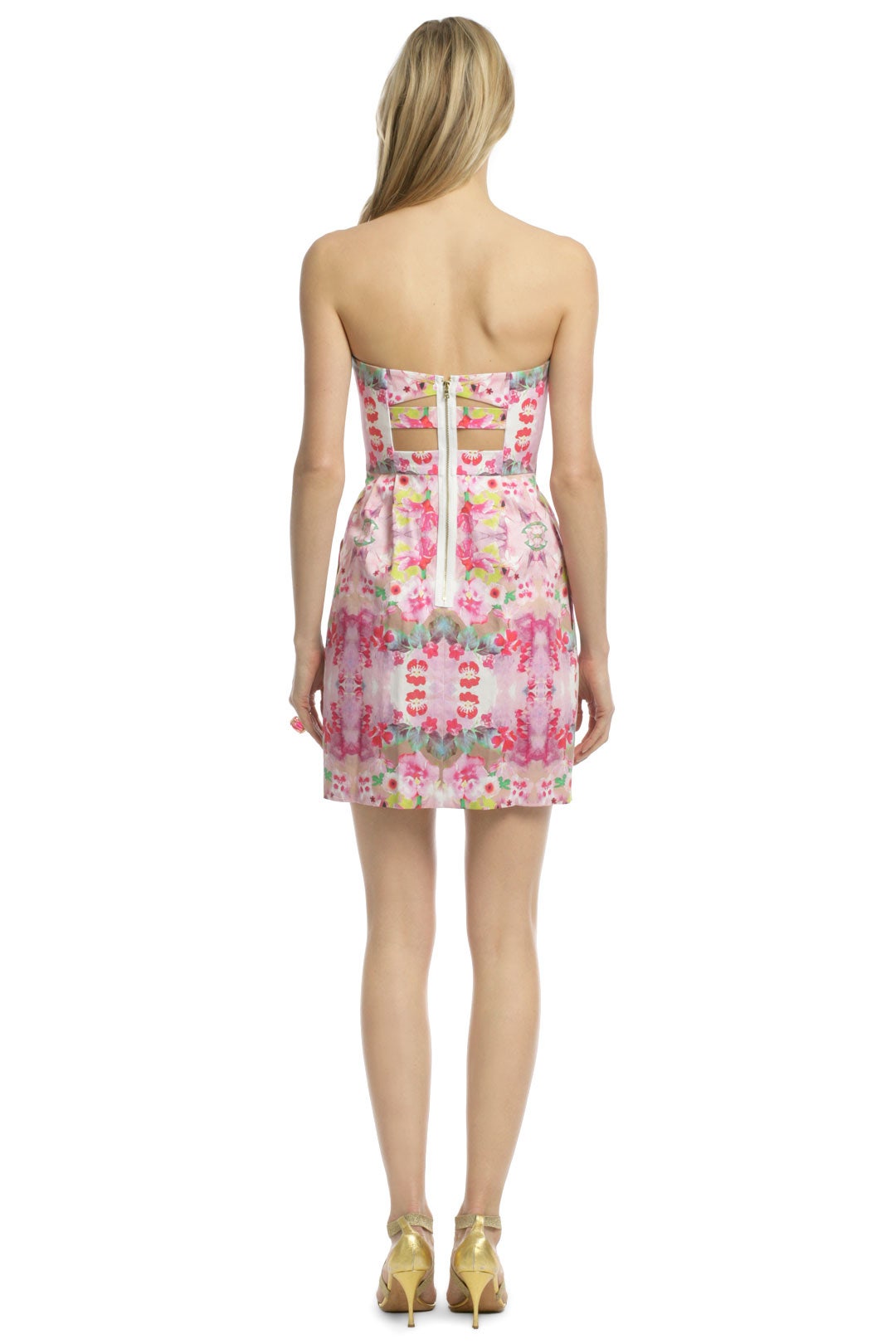 Barosa Dress by Ali Ro 1