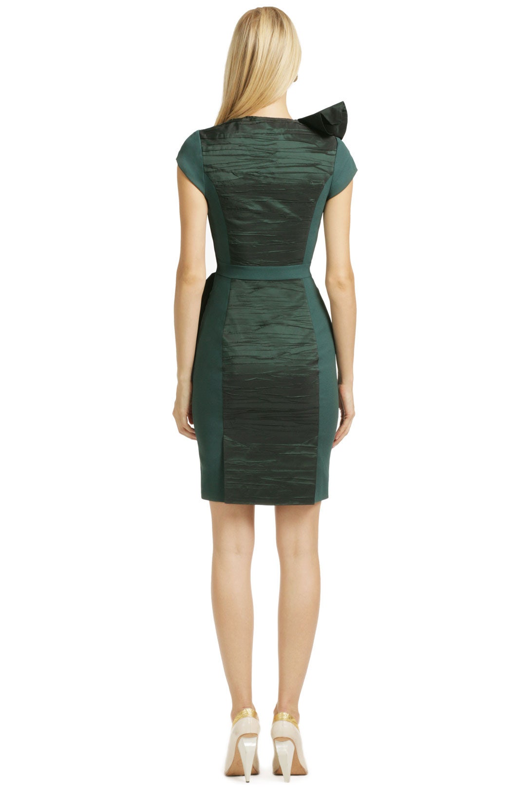 Ruffling It Up Dress by Viktor & Rolf 1