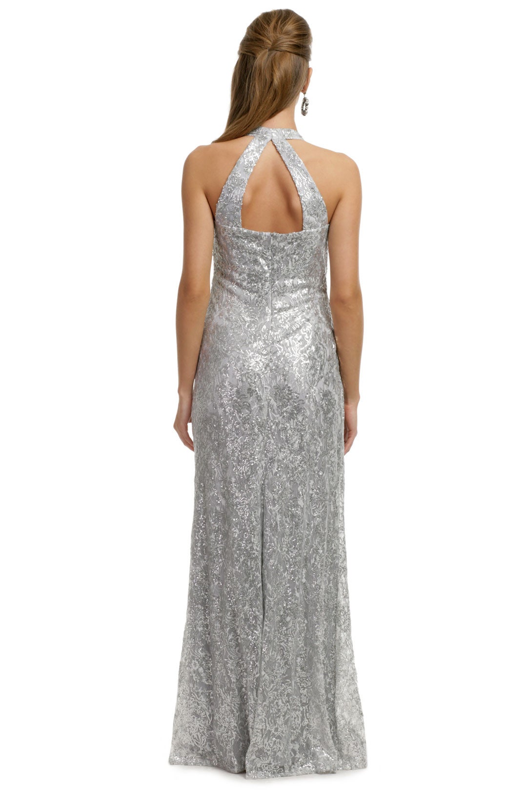 Sparkling Lela Lace Gown by David Meister 2