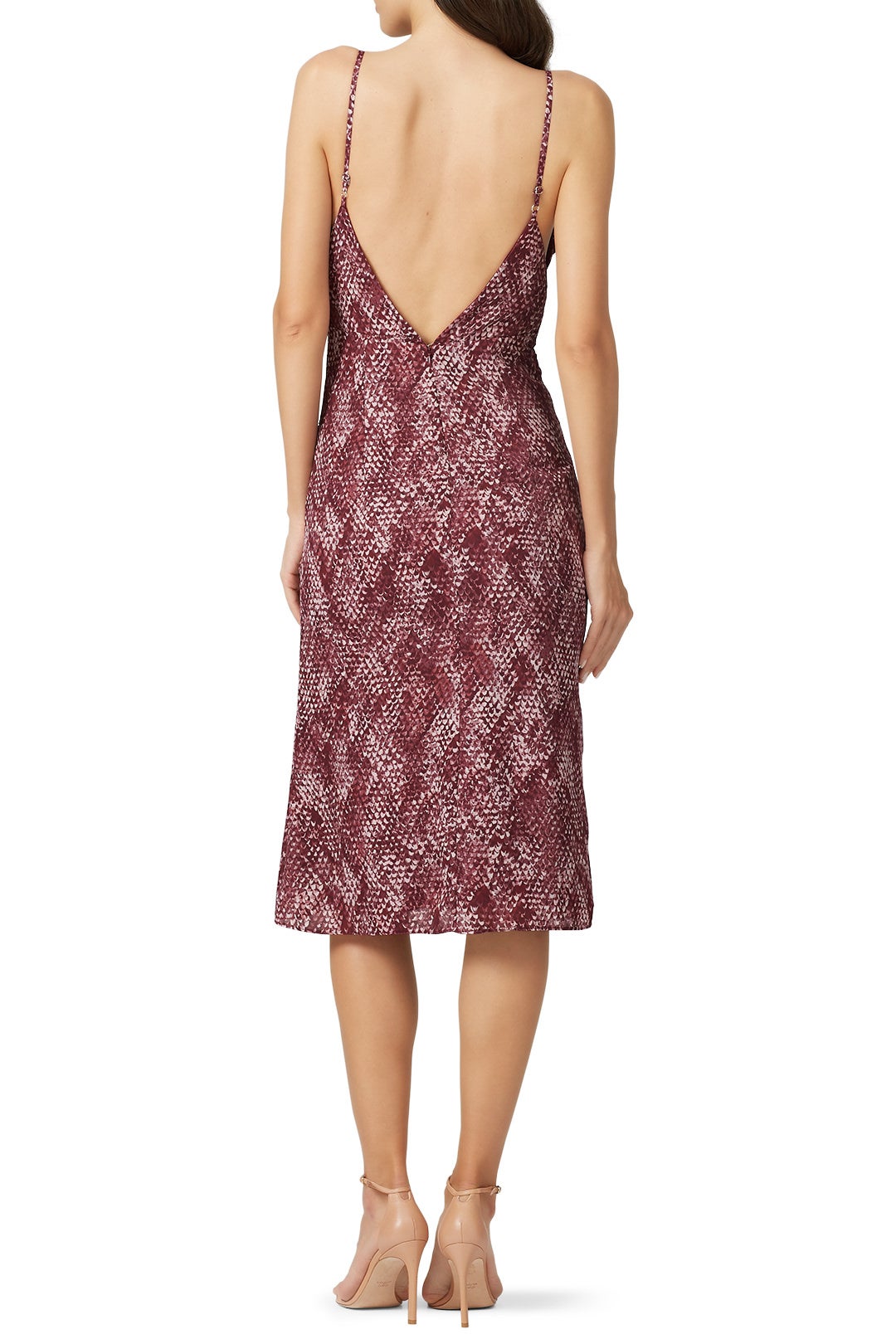 The Snake Print Bella Dress by Fame & Partners 1