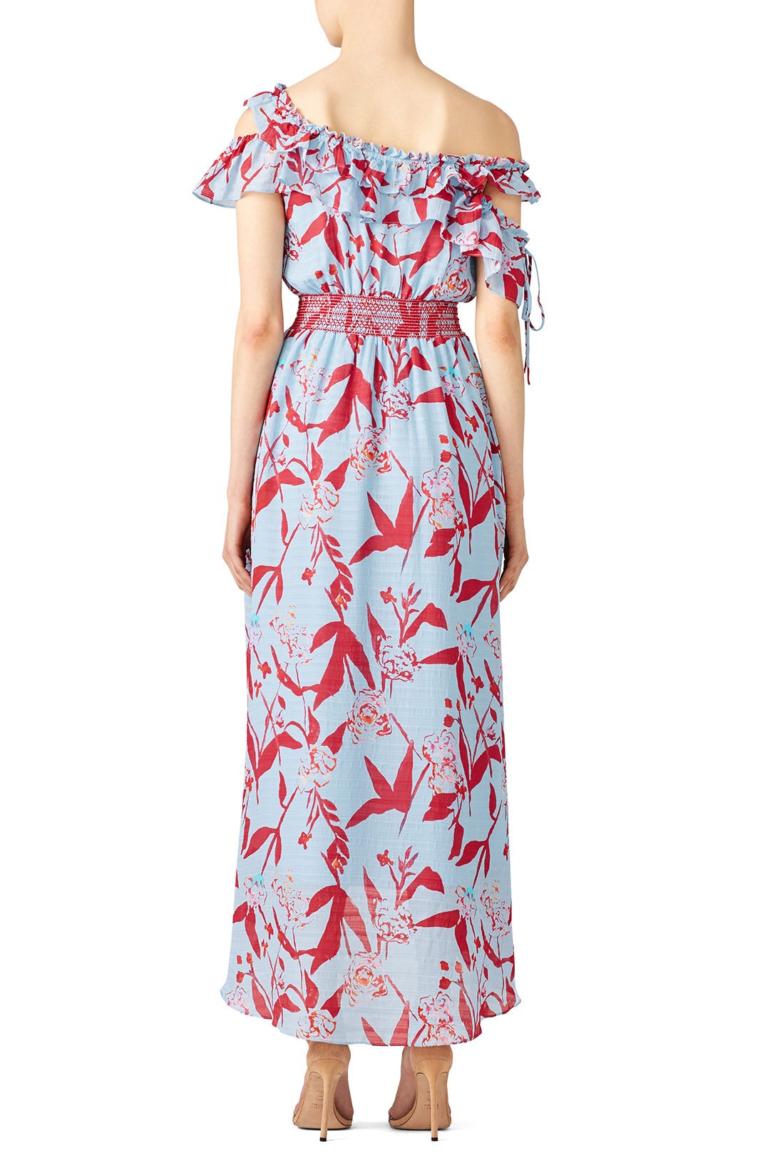 Parrot Tulip Meegan Maxi by Tanya Taylor 1