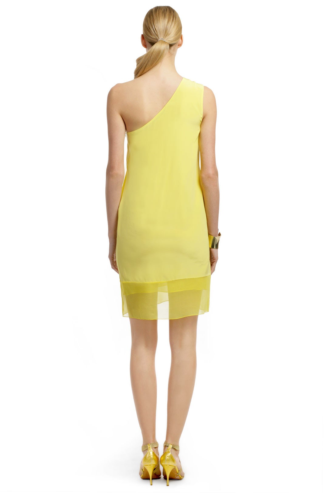 Sheer Genius Dress by Tibi 2