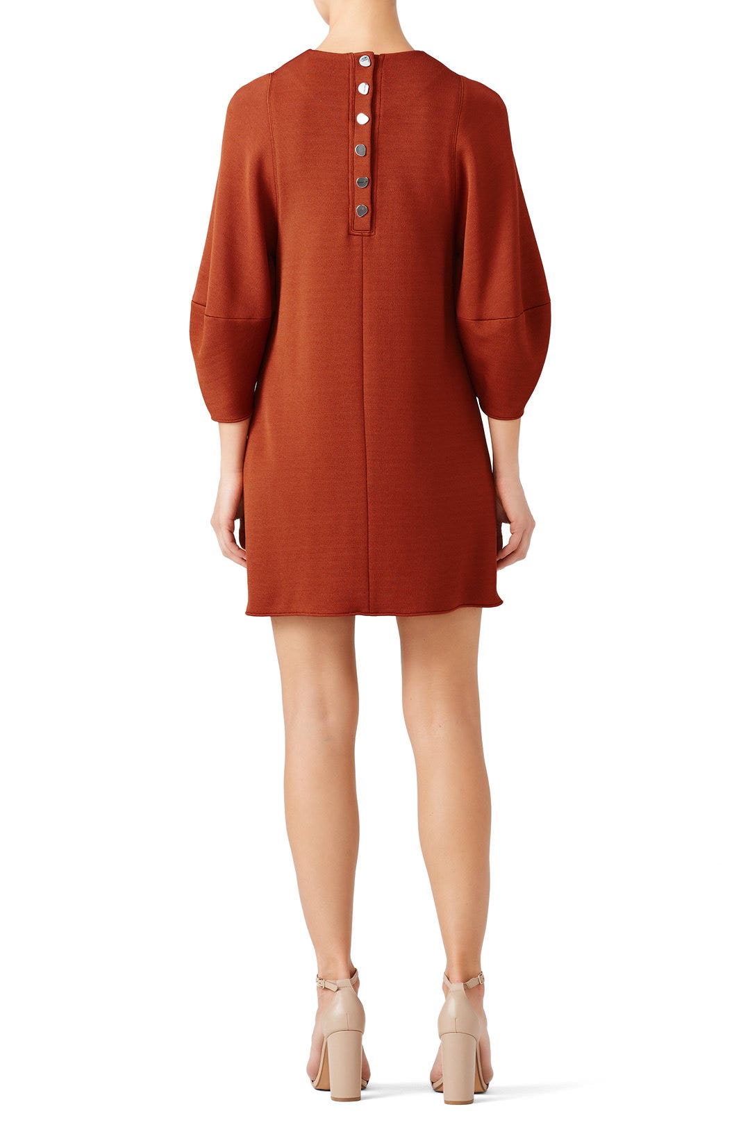 Rust Balloon Sleeve Dress by Tibi 2