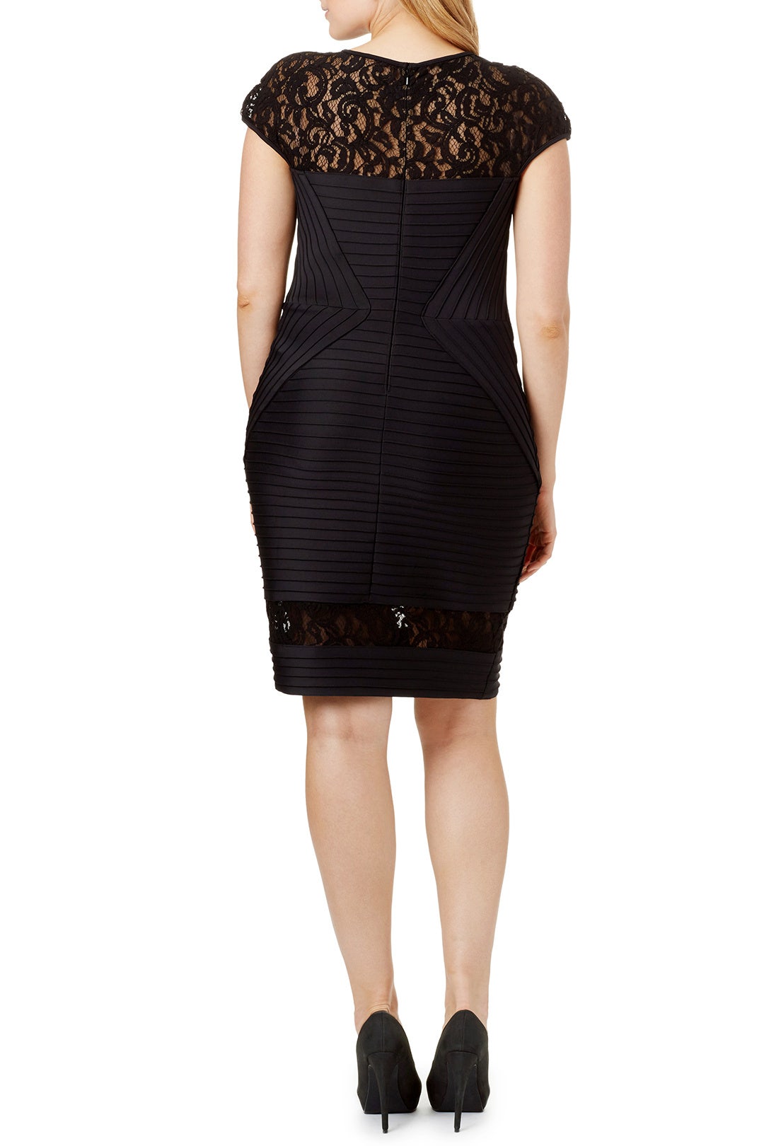 Mesmerize Sheath by Tadashi Shoji 1