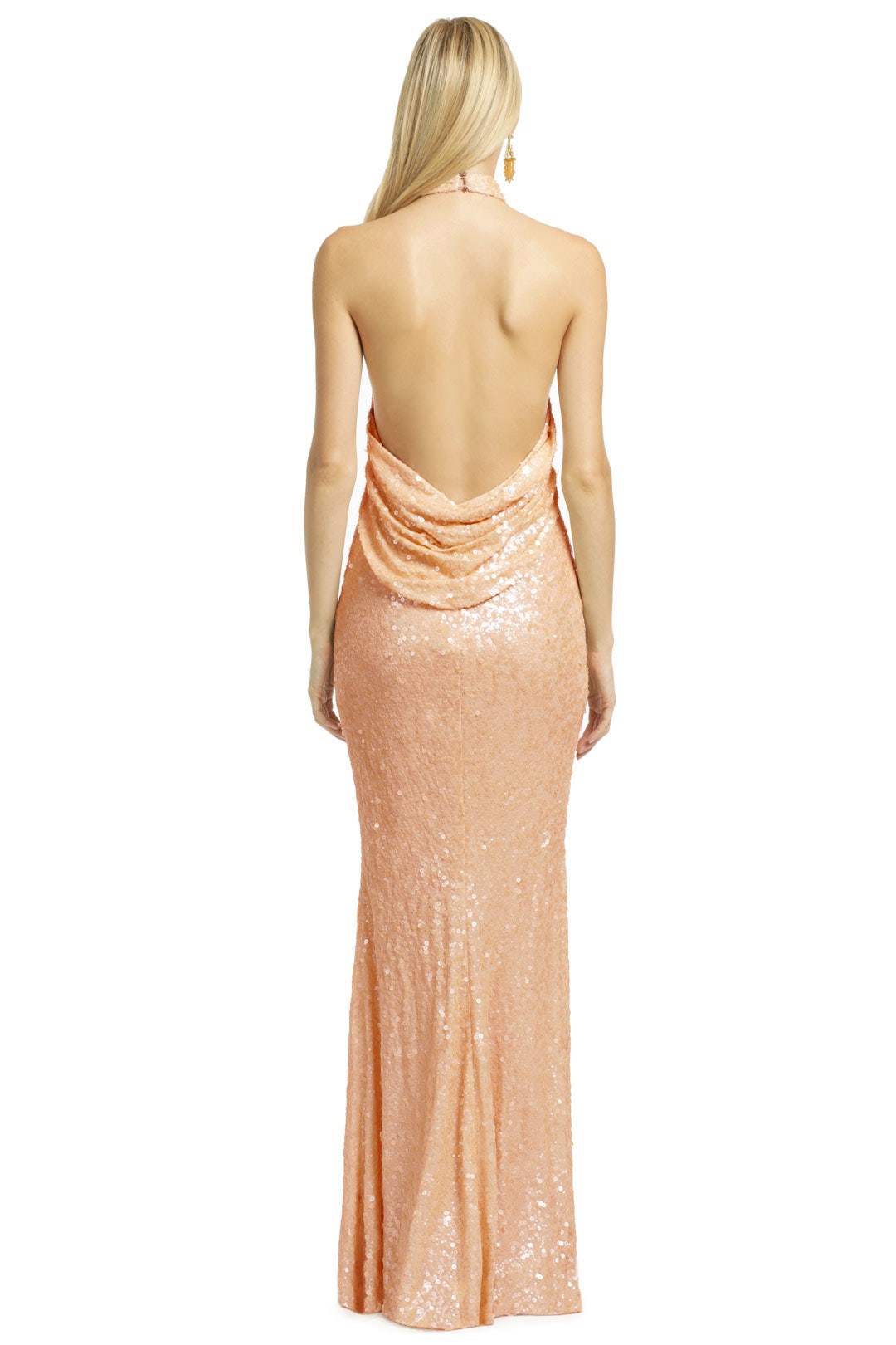 Champagne Fizz Gown by Badgley Mischka 1