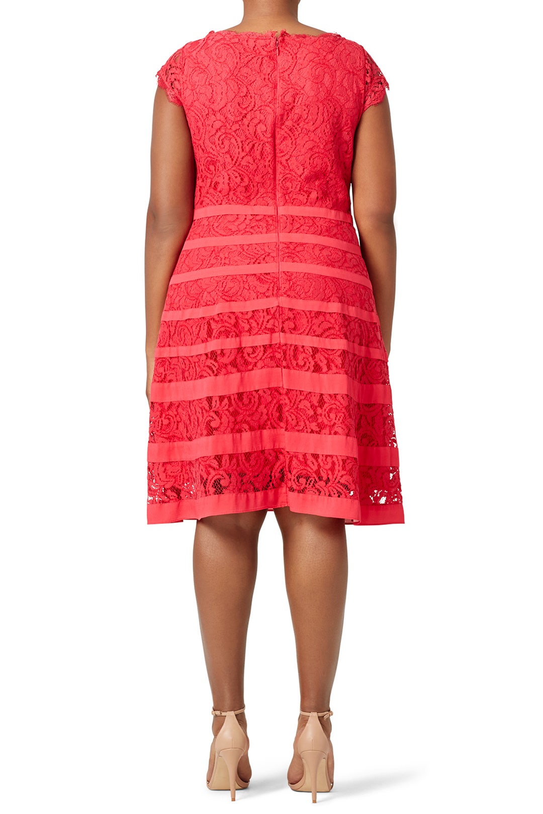 Begin Again Dress by Adrianna Papell 1