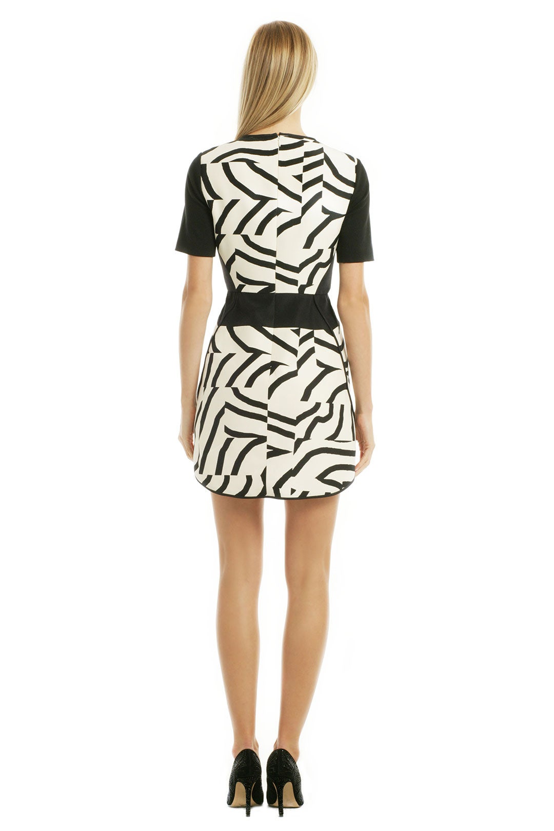 Zebra Maze Dress by Tibi 2