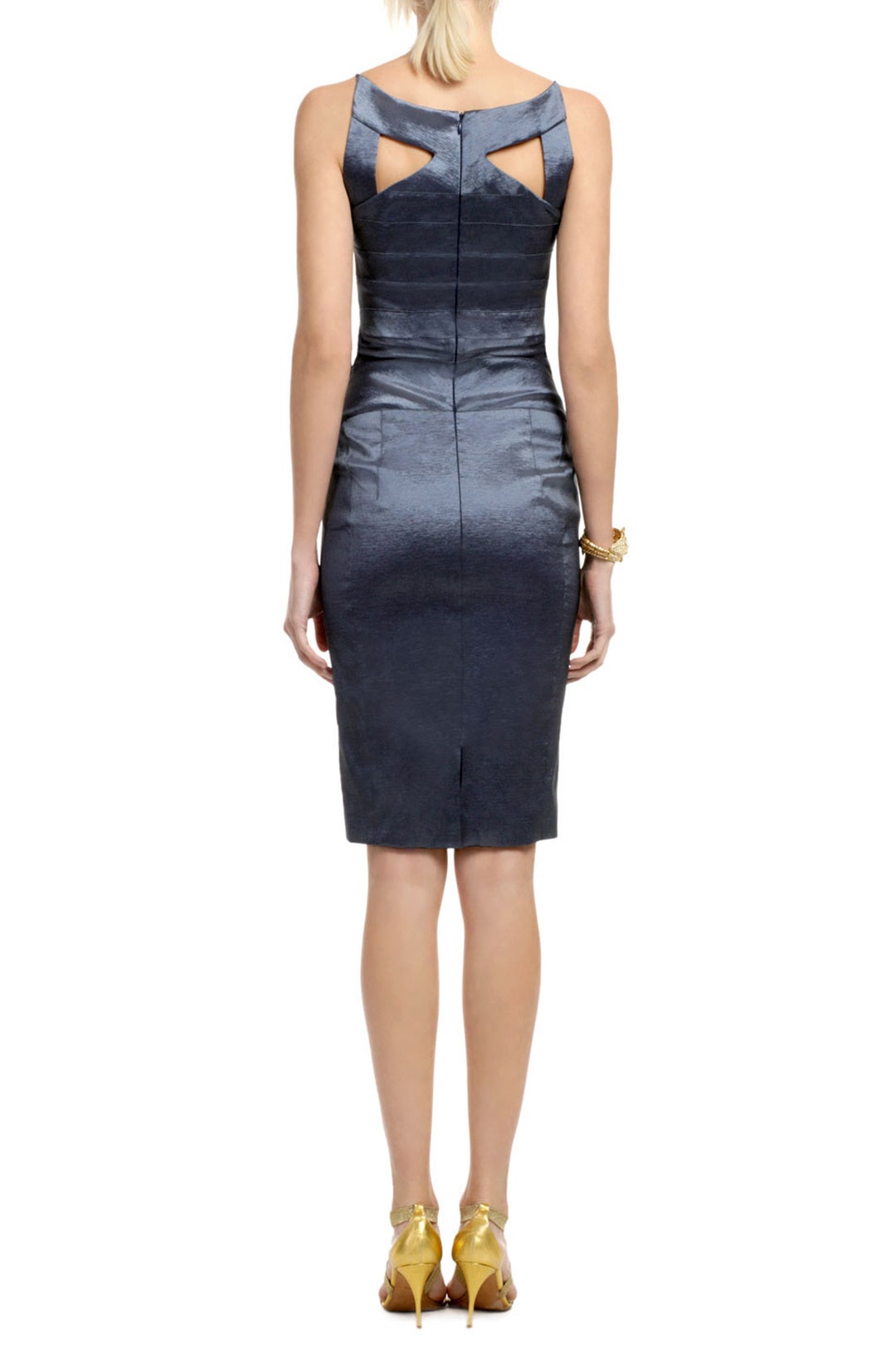 Night Ocean Mist Dress by Z Spoke Zac Posen 1