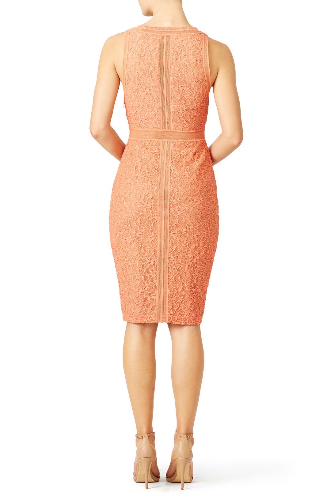 Orange Straight Edge Lace Sheath by Bailey 44 2