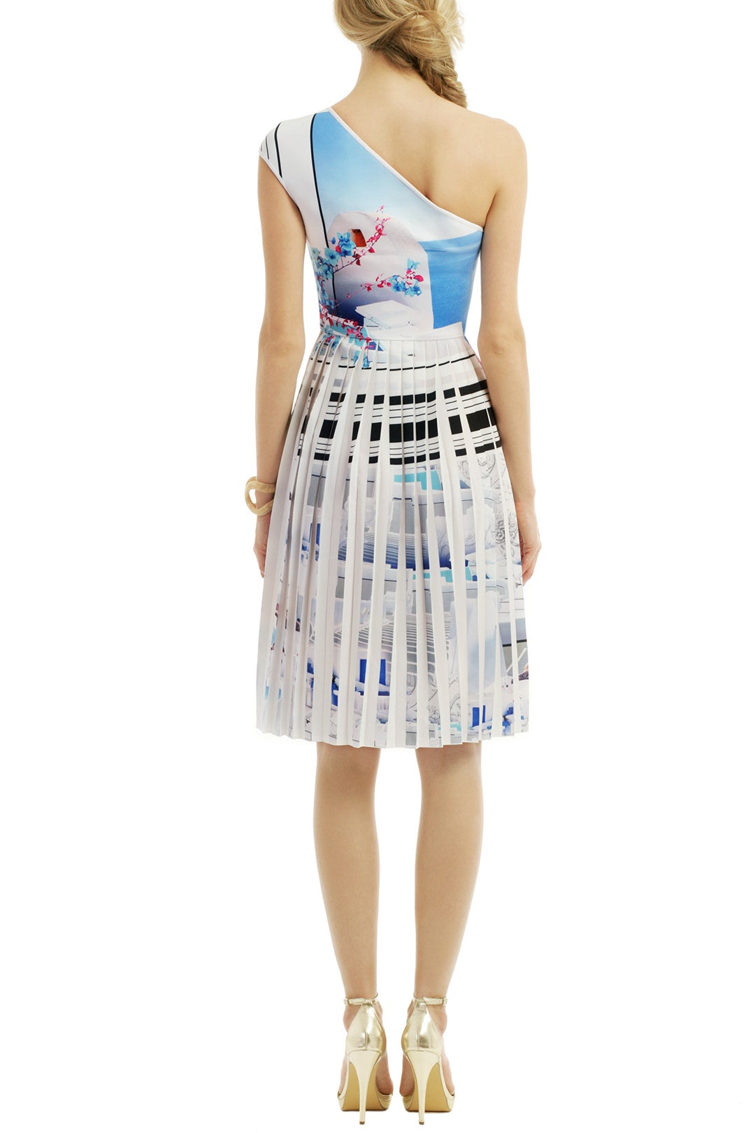 Santorini Dress by Clover Canyon 1