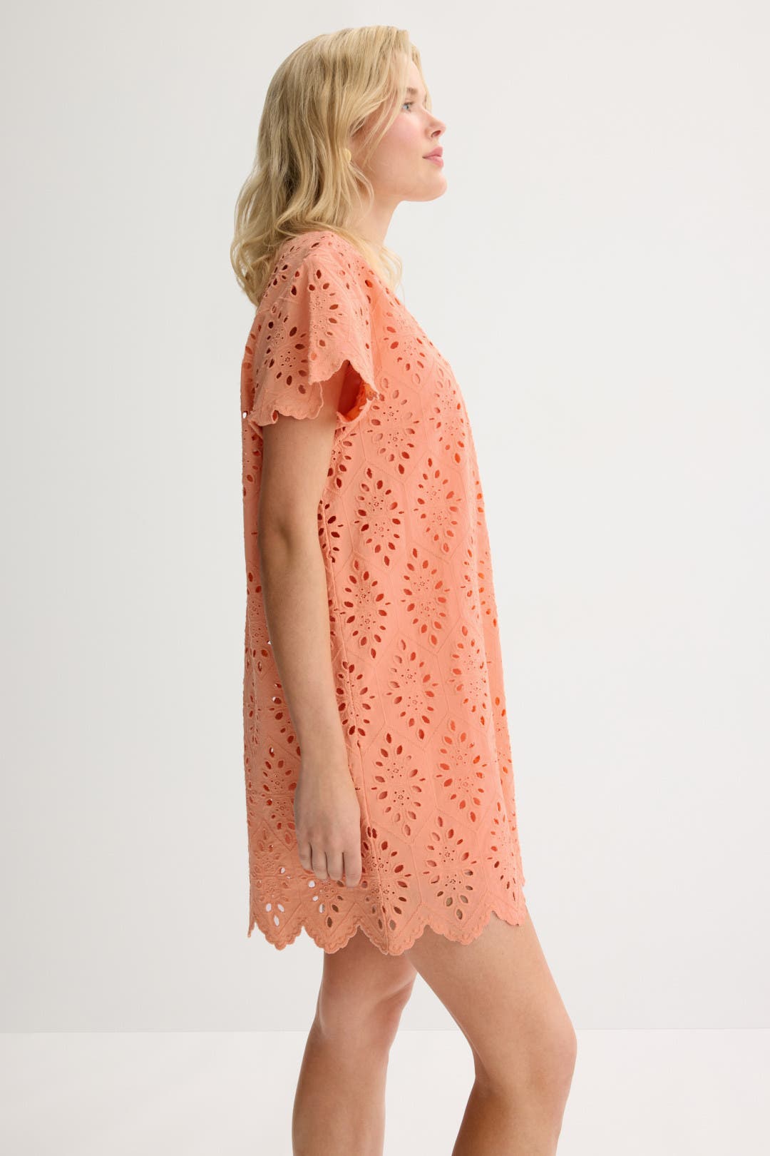 Sandro Eyelet Dress by Splendid | Rent the Runway