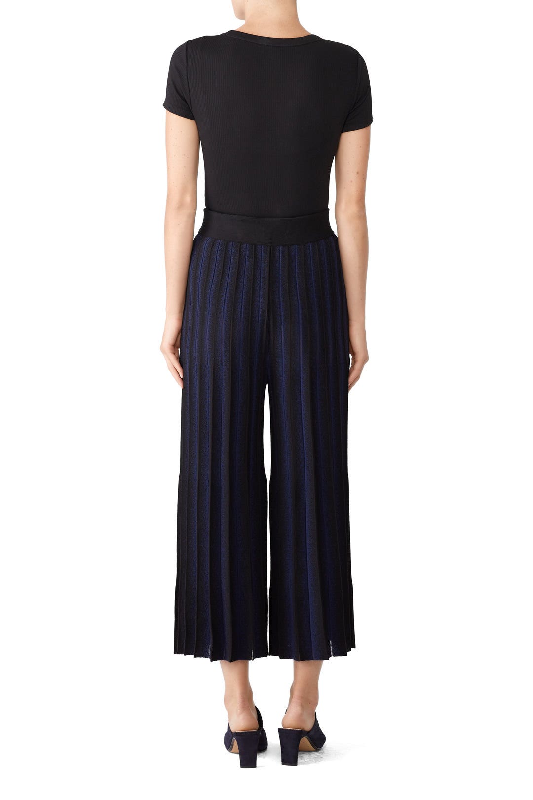 Sheer Midnight Pleated Pants by Derek Lam 10 Crosby 2
