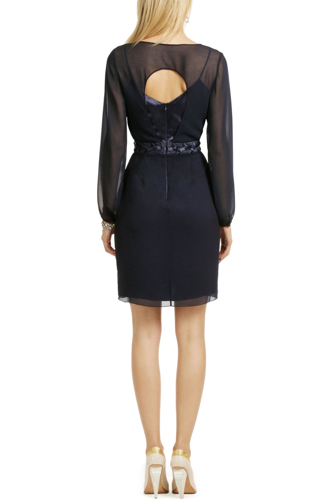 Of Royal Status Dress by Carlos Miele 1