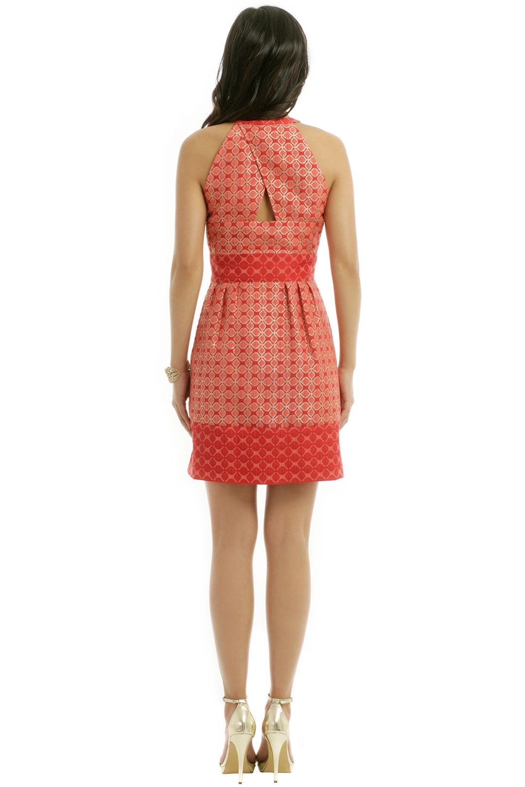 Snap Dot Dress by Ali Ro 2