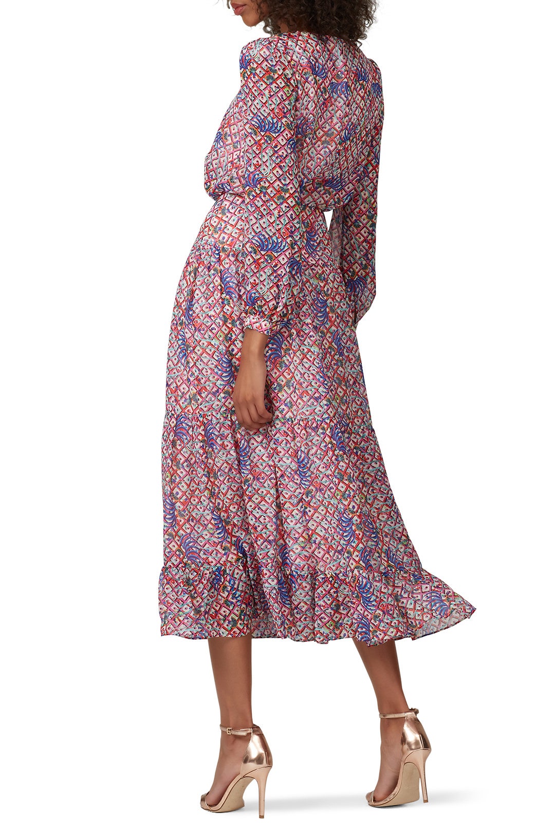 Isabel Midi Dress by SALONI 1