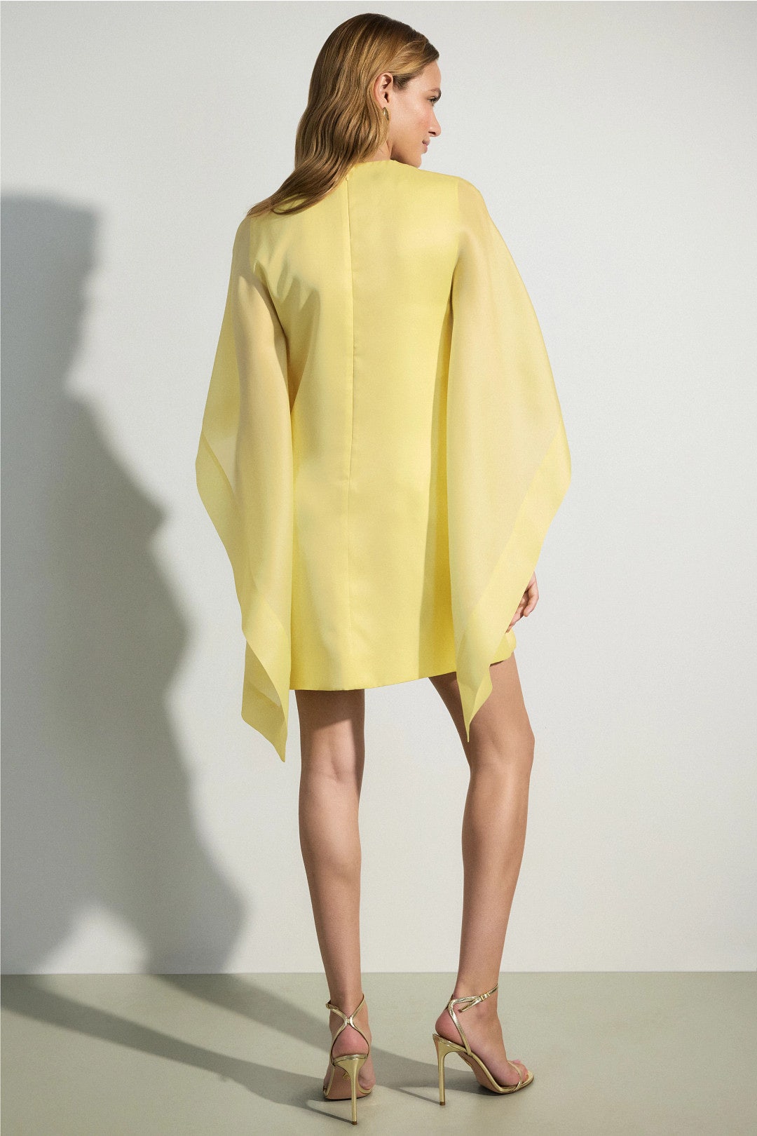 Cape Detail Midi Dress by Alberta Ferretti 2
