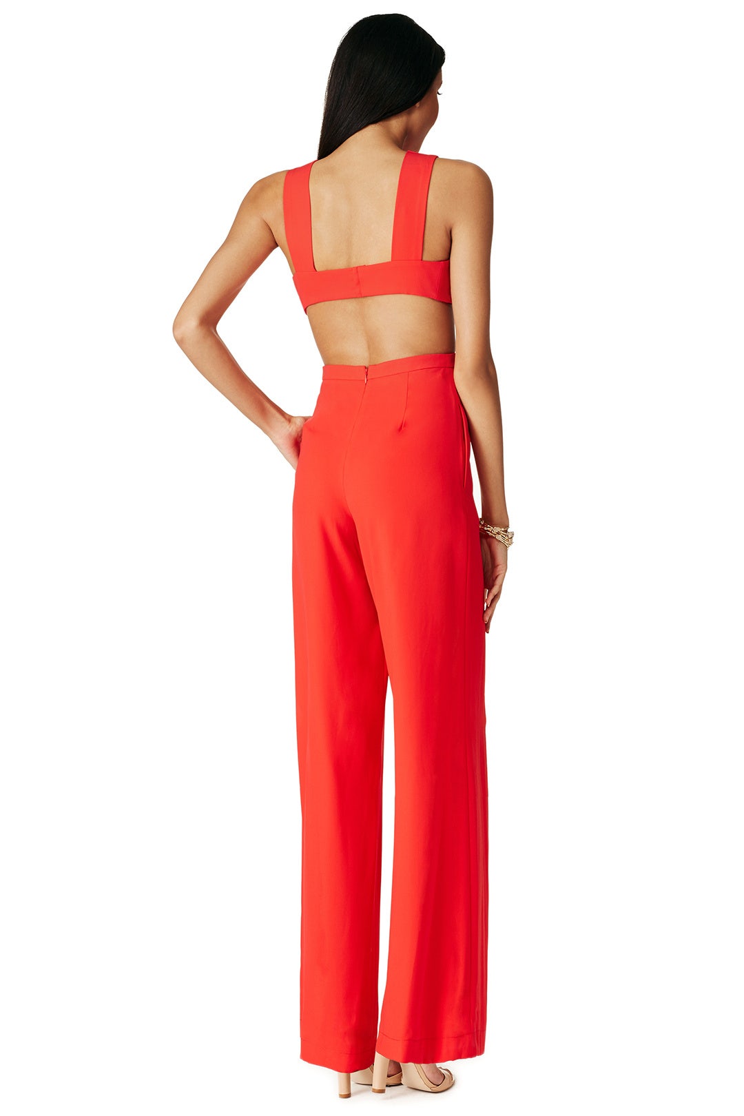Charlize Jumpsuit by BCBGMAXAZRIA 1