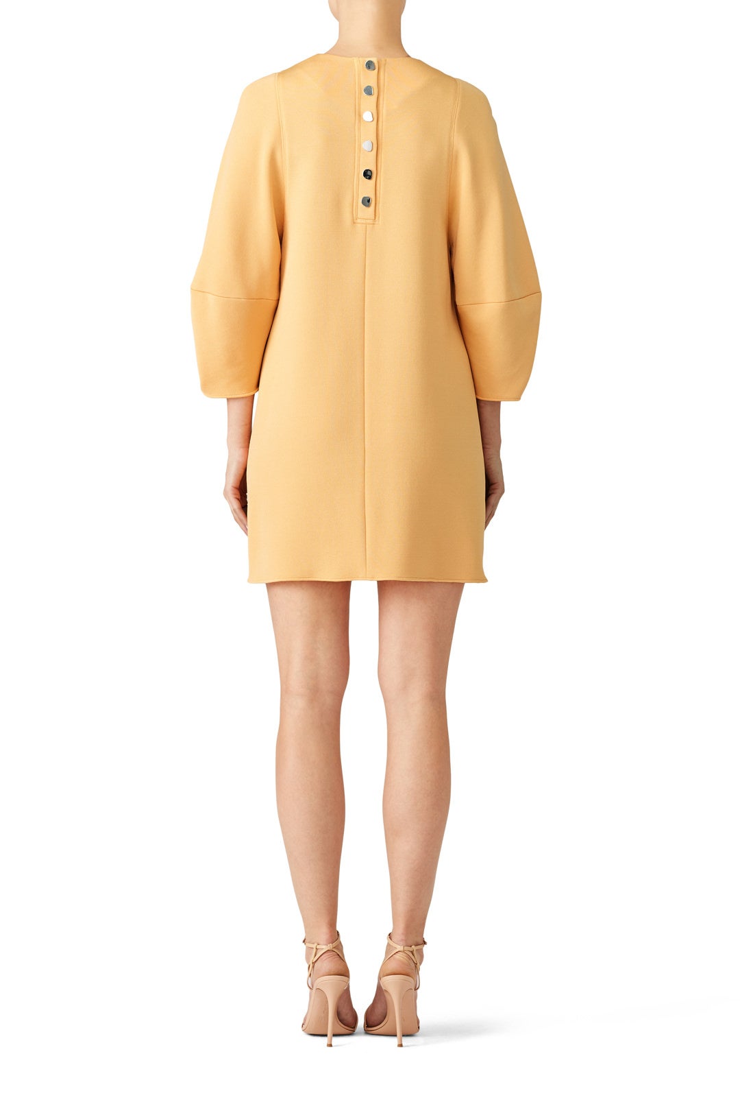 Apricot Balloon Sleeve Dress by Tibi 2