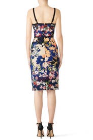 Lisse Garden Daria Sheath by Black Halo for $51 | Rent the Runway