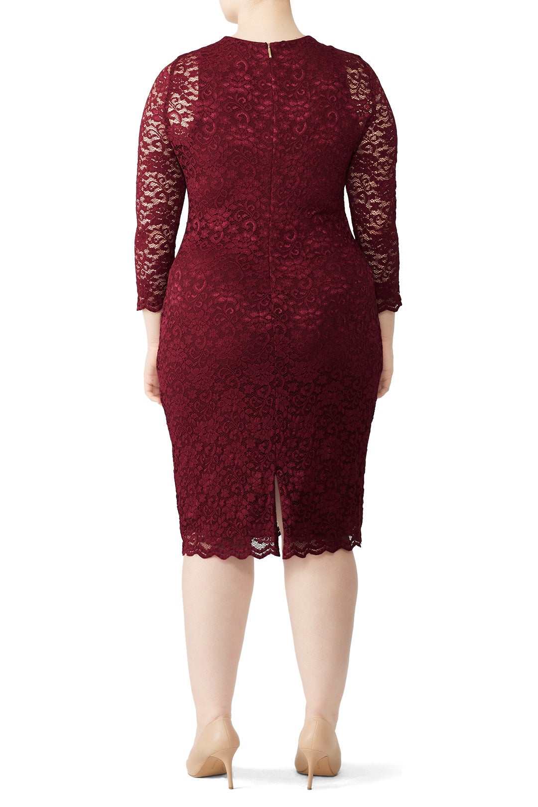 ralph lauren red lace dress Lauren by Ralph Lauren Women's Scalloped Lace Dress (8, Vibrant Garnet)