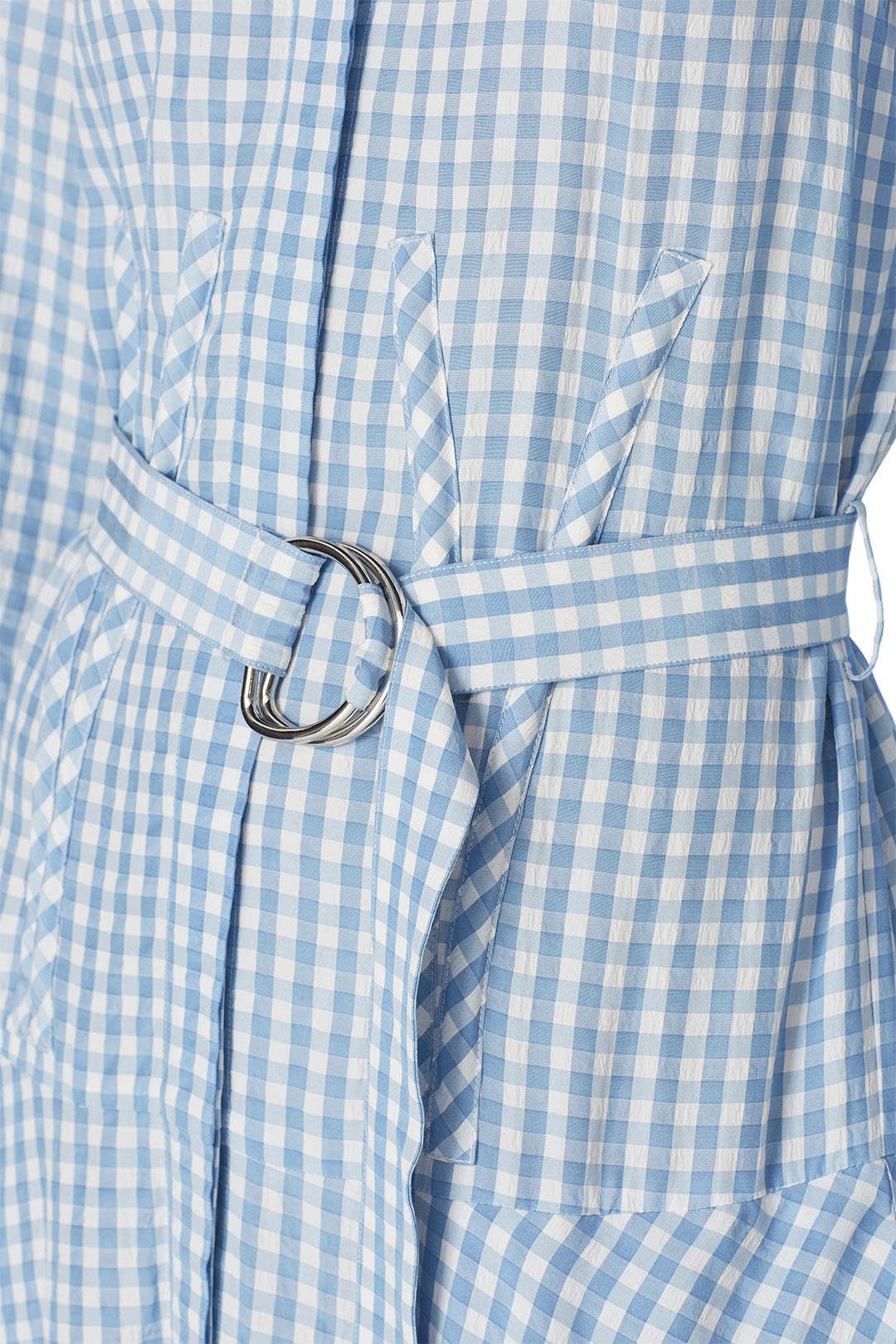 Blue Gingham Shirtdress by Tibi 3