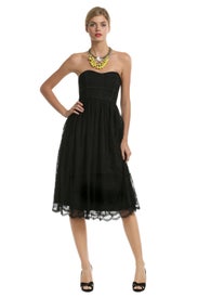 Lace Teacup Dress by ADAM