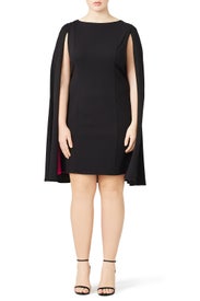 Peek of Pink Cape Dress by Adrianna Papell