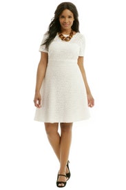 Sweet as Sugar Dress by Kay Unger