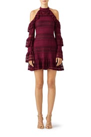 Windham Dress by Parker