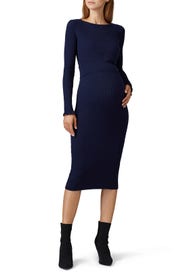 Raine Maternity Dress by Seraphine