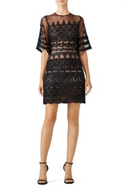 Black Lace Trim Dress by Nicole Miller