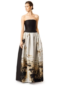 Brushed With Gold Gown by Alberta Ferretti