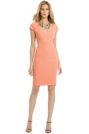 Tea Rose Brandy Dress by Rachel Roy