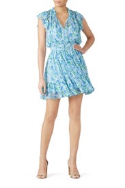 Edelie Dress by Shoshanna