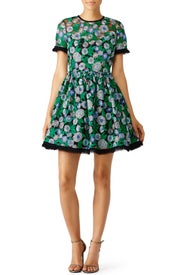 Green Daisy Dress by Shoshanna