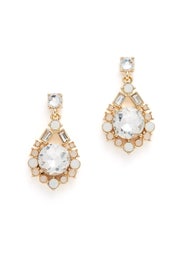 Frozen Embrace Earrings by Danielle Nicole