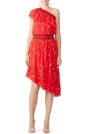 Red Floral Hafsa Dress by Joie