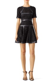 Leather Stripe Dress by The Kooples