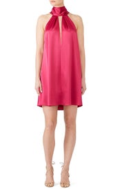 Raspberry Sash Dress by GALVAN