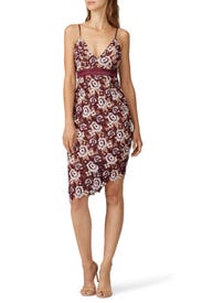 Purple Lace Sheath by Bardot