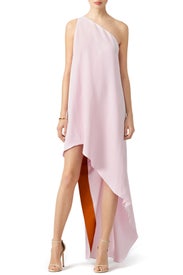 Pink Slink Gown by Narciso Rodriguez
