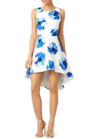 Blue Poppy James Dress by TROUBADOUR