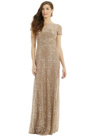 Lurex Dusted Lace Gown by David Meister