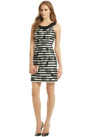 Phoenix Dress by Lilly Pulitzer